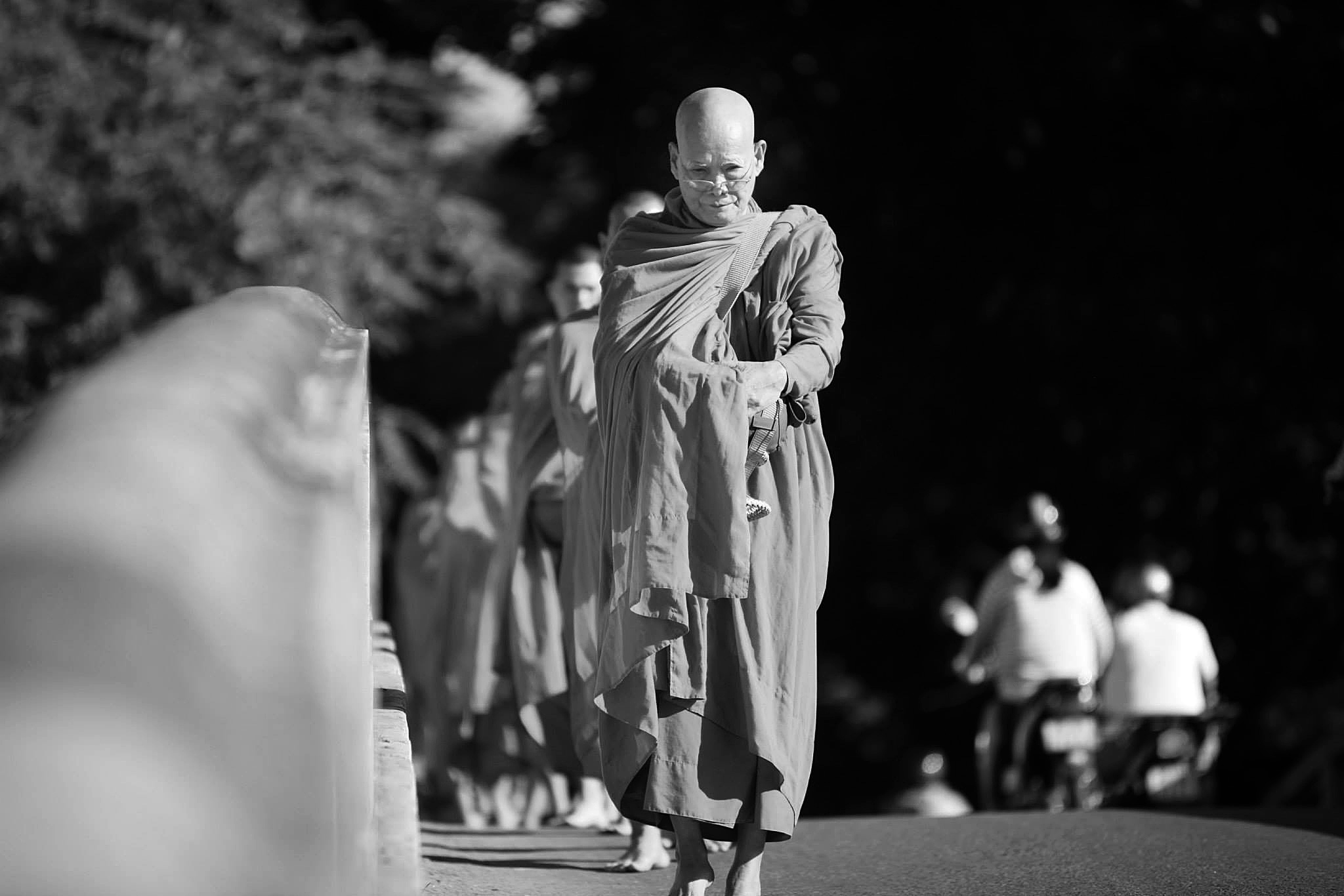 The Venerable Giới Đức (Minh Đức Triều Tâm Ảnh)